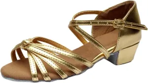 Chunky Heels Sandals Women Summer Dress Shoes Latin Dance Shoes Satin Ballroom Tango Performance Practice Dance Shoes