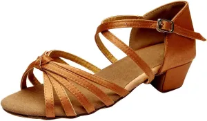 Chunky Heels Sandals Women Summer Dress Shoes Latin Dance Shoes Satin Ballroom Tango Performance Practice Dance Shoes