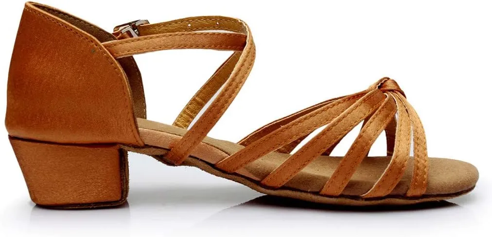 Chunky Heels Sandals Women Summer Dress Shoes Latin Dance Shoes Satin Ballroom Tango Performance Practice Dance Shoes
