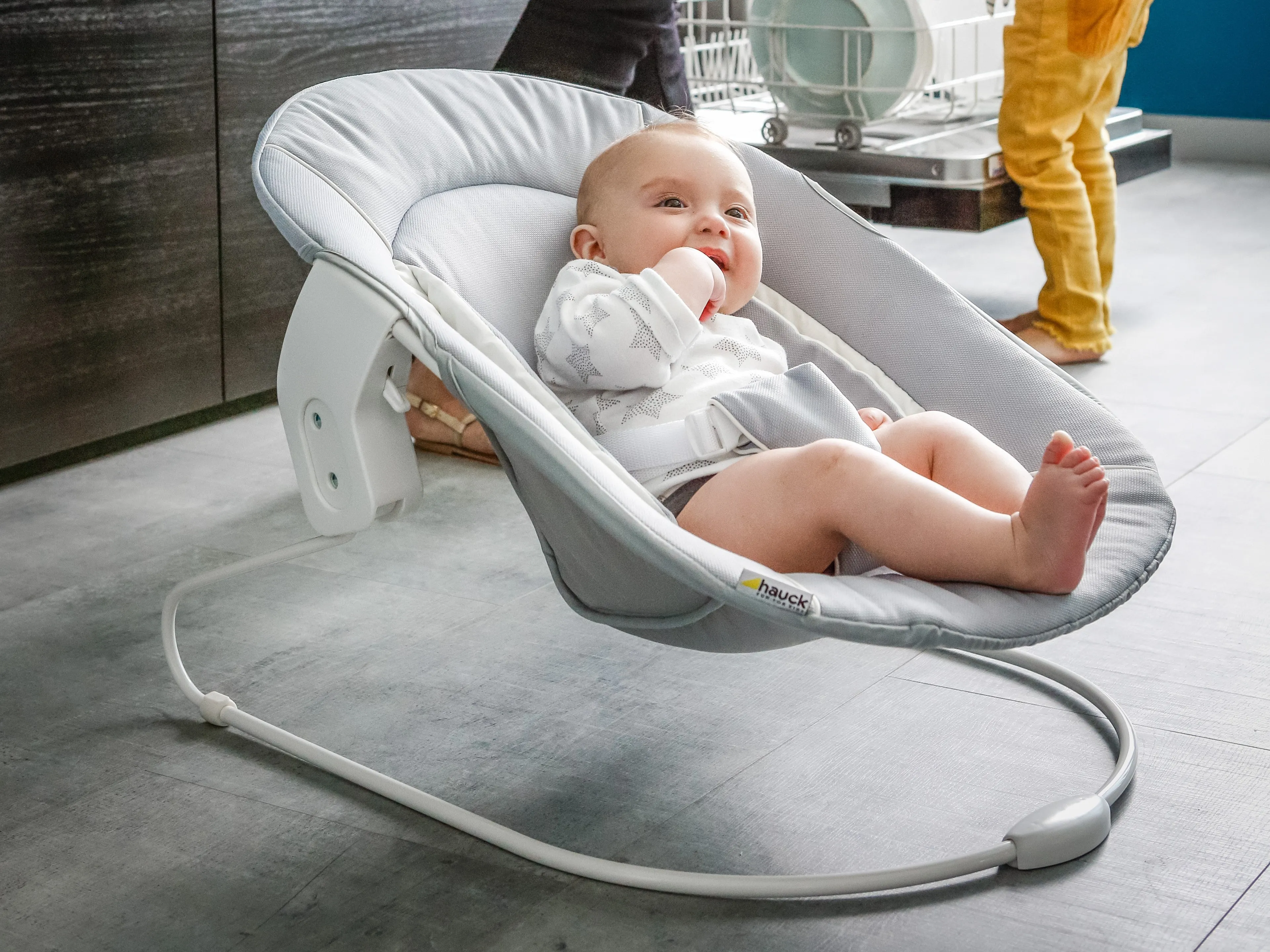 Hauck Alpha 2-in-1 Ergonomic Baby Bouncer