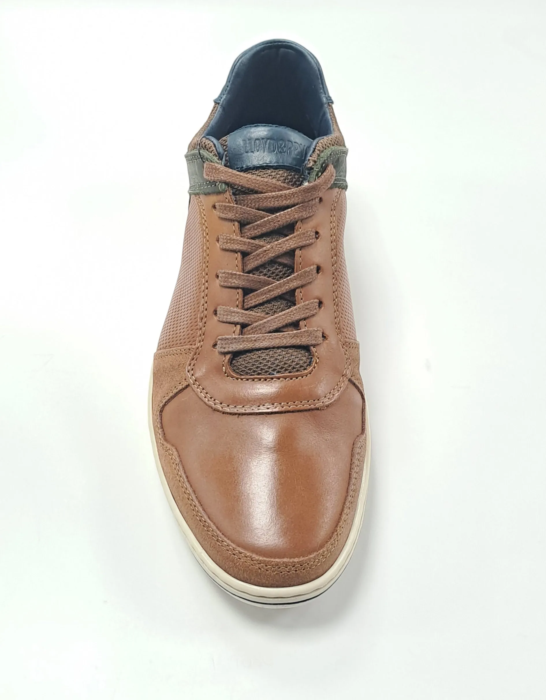 Lloyd & Pryce Curry Casual Trainer - Umber
