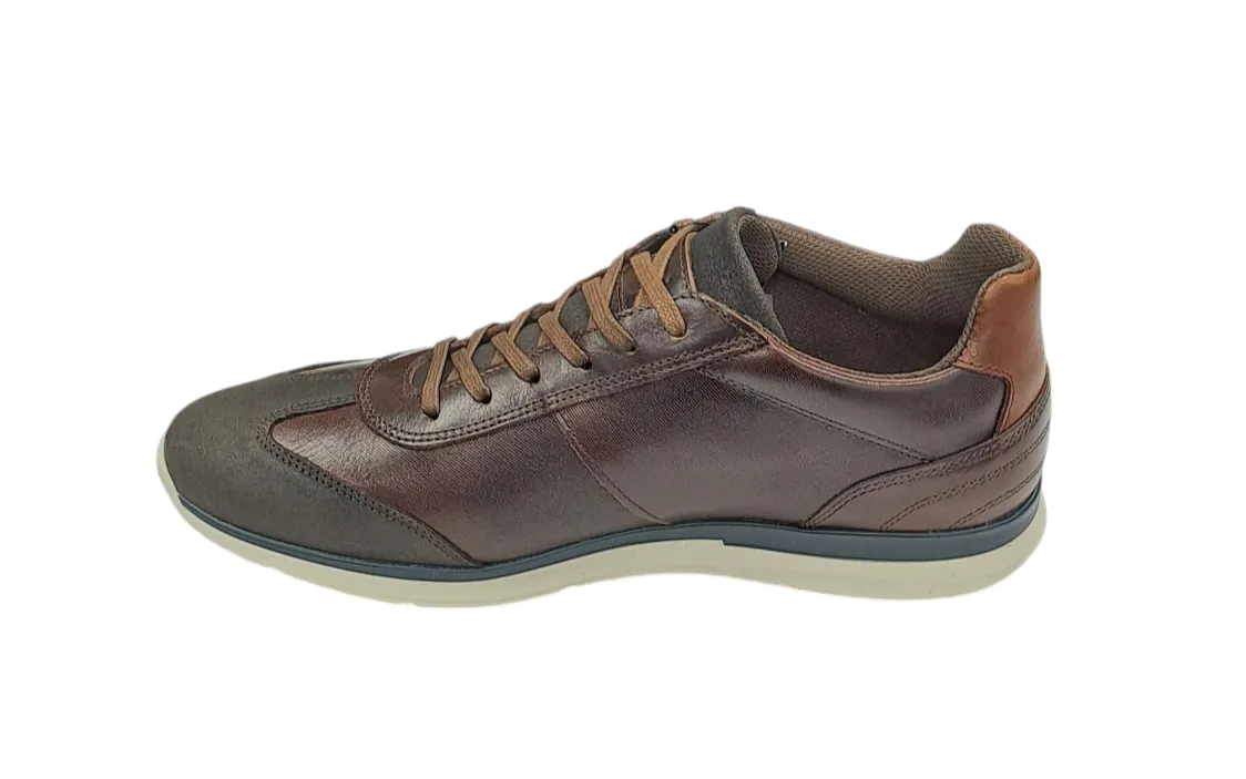 Lloyd & Pryce Gallo Trainer - Hickory Split