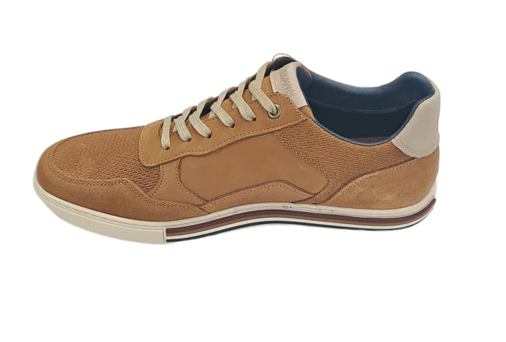 Lloyd & Pryce Loughman Casual Trainer - Umber