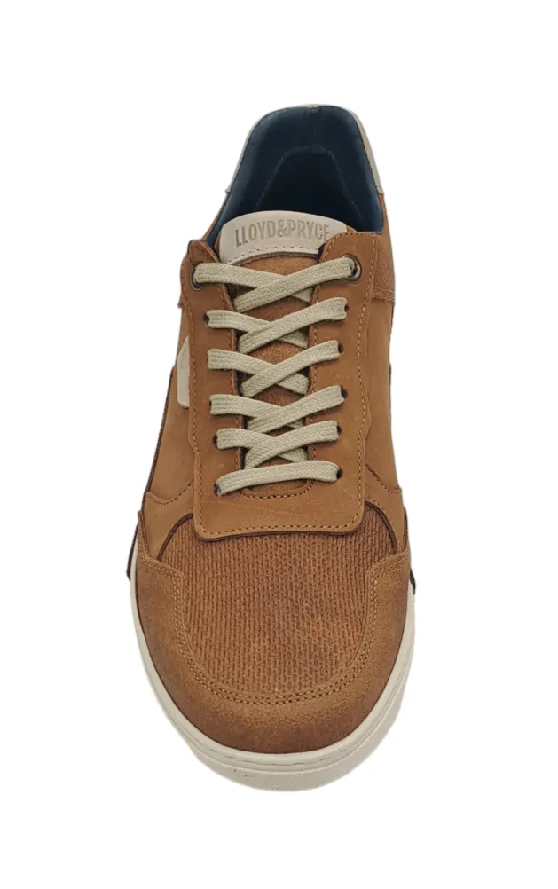 Lloyd & Pryce Loughman Casual Trainer - Umber