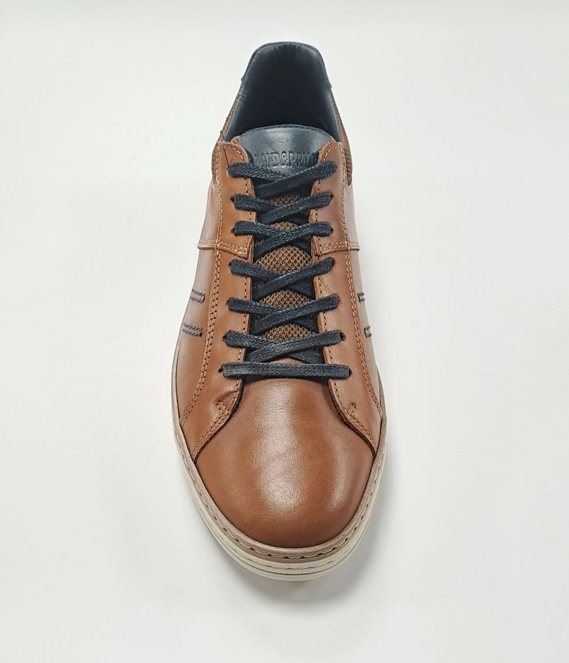 Lloyd & Pryce Osborne Casual Trainer - Umber